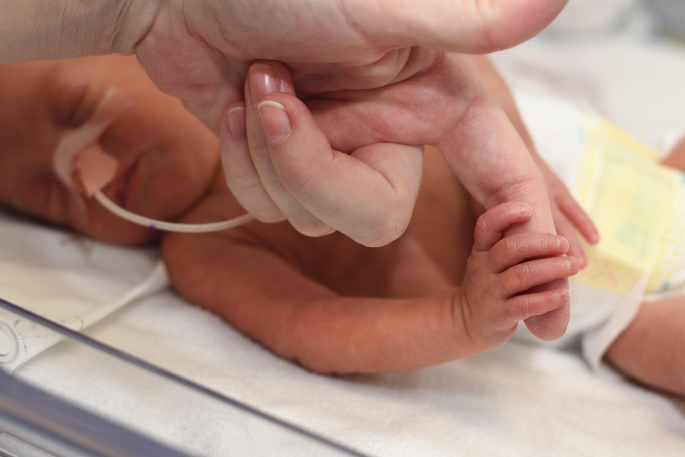 Koraszülött fogja egy felnőtt ujját